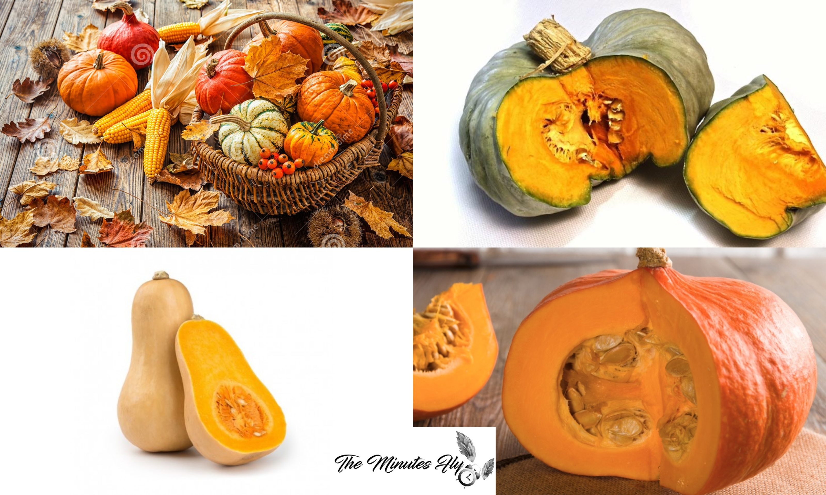 Cupcakes alla zucca|merenda d’autunno|food|the minutes fly