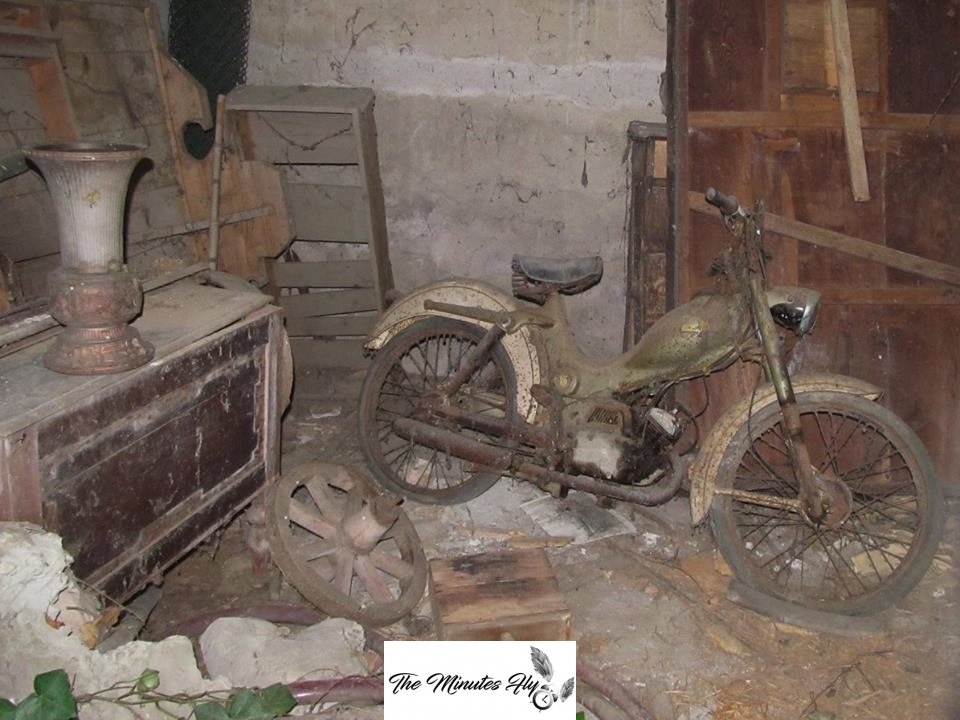 i fantasmi dell'ultimo natale - le storie degli urbexer - la villa dell'artista che non ama ricevere visite - the minutes fly