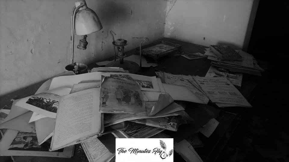 i fantasmi dell'ultimo natale - le storie degli urbexer - la villa dell'artista che non ama ricevere visite - the minutes fly