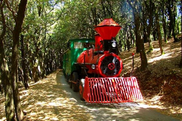 città della domenica - trenino natalizio - natale 2018 - eventi 2018 - dicembre 2018 - the minutes fly