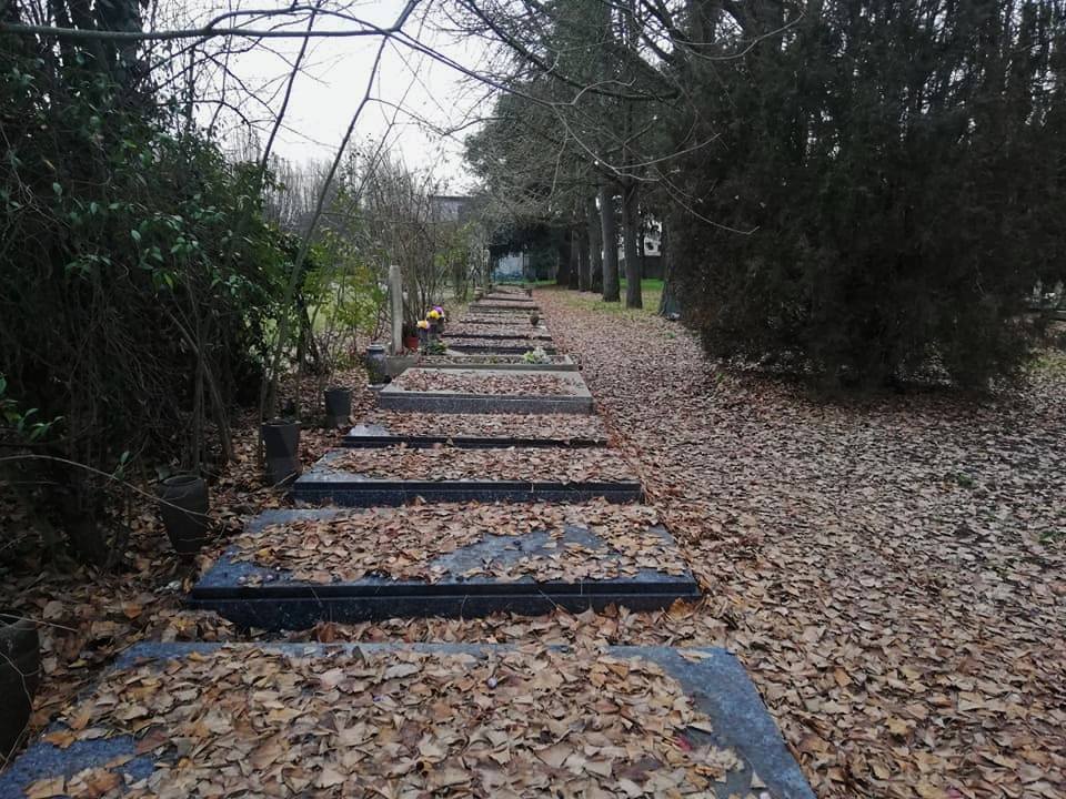 il cimitero ebraico di ferrara - shoah - olocausto - the minutes fly - web magazine - osso di seppia