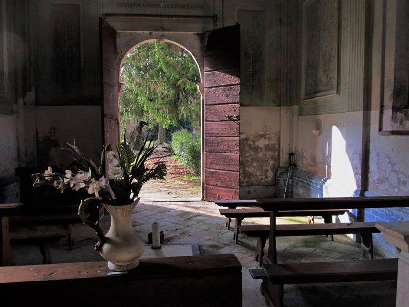 il palazzo bruciato - the minutes fly - web magazine - fiori penombra