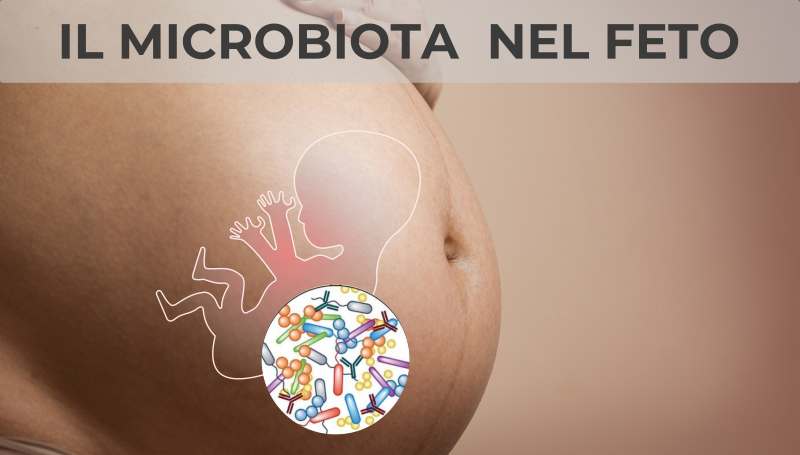Microbiota-gravidanza-medicina-estetica-dott-L-Foglieni