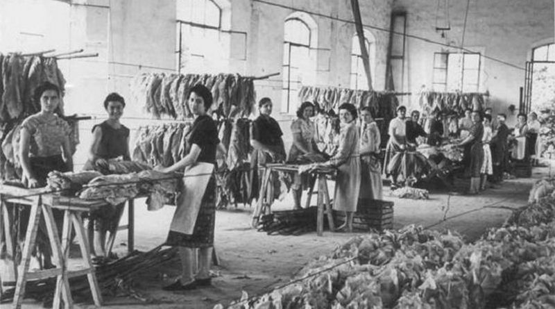 festa della donna origini - fabbrica - web magazine