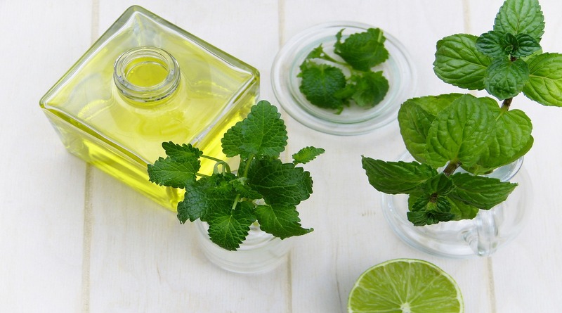 olio di oliva con menta aromatizzato 5 varianti - the minutes fly - web magazine - food - cucina olio e menta - the minutes fly - web magazine - food - cucina