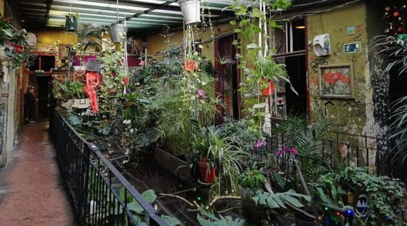 Szimpla Kert Ruin Pub The Minutes Fly