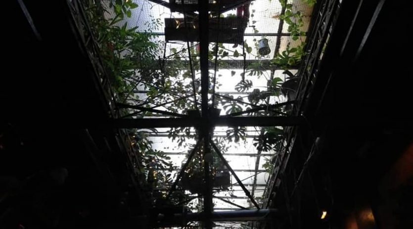 Szimpla Kert Ruin Pub The Minutes Fly